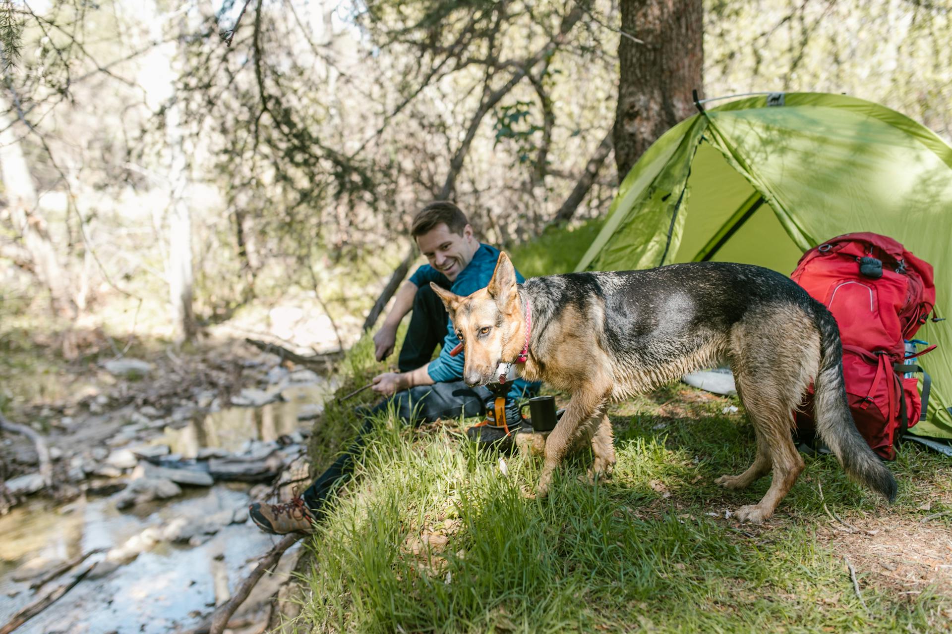 Camping Tents Finding the Sweet Spot